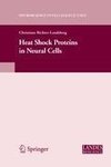 Heat Shock Proteins in Neural Cells