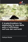 Il bradyrhizobium ha migliorato la resa della soia e l'efficienza nell'uso dei nutrienti