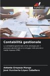 Contabilità gestionale