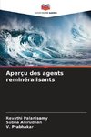 Aperçu des agents reminéralisants