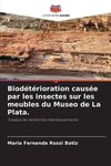 Biodétérioration causée par les insectes sur les meubles du Museo de La Plata.