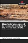 Biodeterioration caused by insects in furniture of the Museo de La Plata.