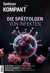 Spektrum Kompakt - Die Spätfolgen von Infekten