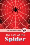 The Life Of The Spider