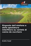 Risposta dell'etefone e della spaziatura interfilare su varietà di canna da zucchero