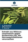 Extrakt aus Hibiscus rosasinensis gegen Escherichia coli, die Harnwegsinfektionen verursachen