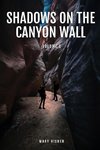 Shadows on the Canyon Wall