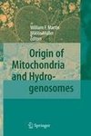 Origin of Mitochondria and Hydrogenosomes