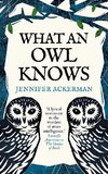 What an Owl Knows