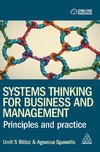 Systems Thinking for Business and Management