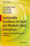 Sustainable Excellence in Small and Medium Sized Enterprises