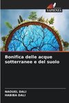 Bonifica delle acque sotterranee e del suolo