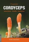 Powerpilz Cordyceps