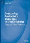 Overcoming Productivity Challenges in Small Countries