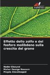 Effetto dello zolfo e del fosforo molibdeno sulla crescita del grano