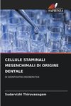 CELLULE STAMINALI MESENCHIMALI DI ORIGINE DENTALE