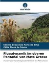 Flussdynamik im oberen Pantanal von Mato Grosso