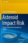 Asteroid Impact Risk