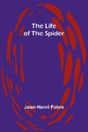 The Life of the Spider