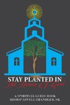 Stay Planted in the House of God