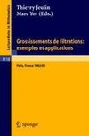 Grossissements de filtrations: exemples et applications