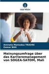 Meinungsumfrage über das Karrieremanagement von SOGEA-SATOM, Mali