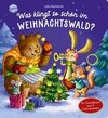 Was klingt so schön im Weihnachtswald? Ein Soundbuch mit 4 Instrumenten