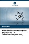 Arsenverschmutzung und Verfahren zur Schadensbegrenzung