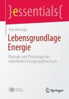 Lebensgrundlage Energie