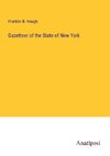 Gazetteer of the State of New York