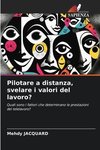 Pilotare a distanza, svelare i valori del lavoro?