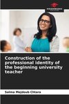 Construction of the professional identity of the beginning university teacher