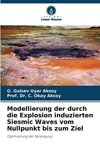 Modellierung der durch die Explosion induzierten Siesmic Waves vom Nullpunkt bis zum Ziel