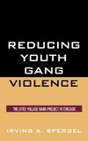 Reducing Youth Gang Violence