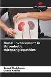 Renal involvement in thrombotic microangiopathies