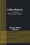 Little Hickory; or, Ragged Rob's young republic