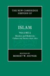 The New Cambridge History of Islam