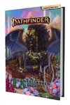 Pathfinder 2 - Zeitalter dVO: Die Unfassbaren Lande