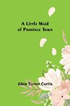 A Little Maid of Province Town