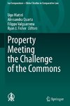 Property Meeting the Challenge of the Commons