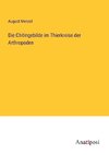 Die Chitingebilde im Thierkreise der Arthropoden