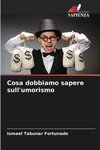 Cosa dobbiamo sapere sull'umorismo