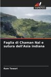 Faglia di Chaman Nal e sutura dell'Asia indiana