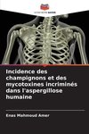 Incidence des champignons et des mycotoxines incriminés dans l'aspergillose humaine