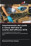 Inquinamento del suolo a causa dell'olio di scarto dell'officina ISTA