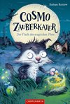 Cosmo Zauberkater