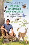 Warum hämmert der Specht? -