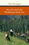 Als ich noch der Waldbauernbub war