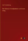 Über Spinoza's Grundgedanken und dessen Erfolg