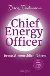 Chief Energy Officer